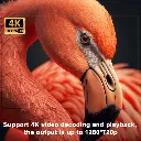 b1b9e96ad156623b3d59141f4a06c3a599eed790_1694809029.webp