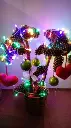 31027.webp